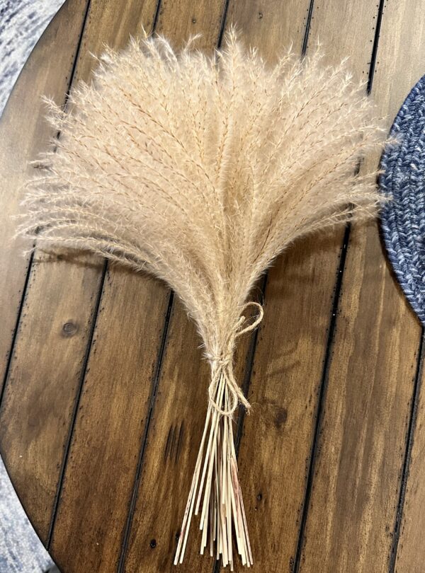 dried pampas grass stems tied in a bundle and laying on a rustic wood table