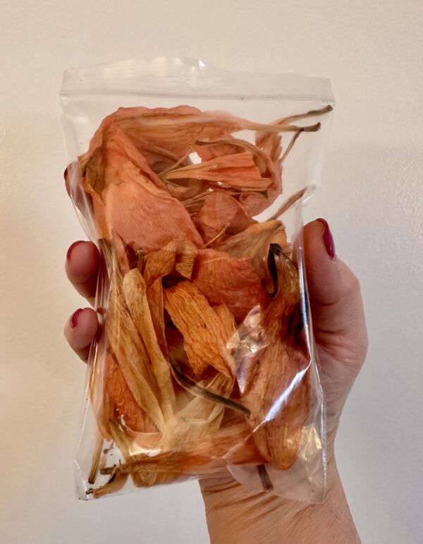 a hand holding a clear pouch of orange lily dried flower petals