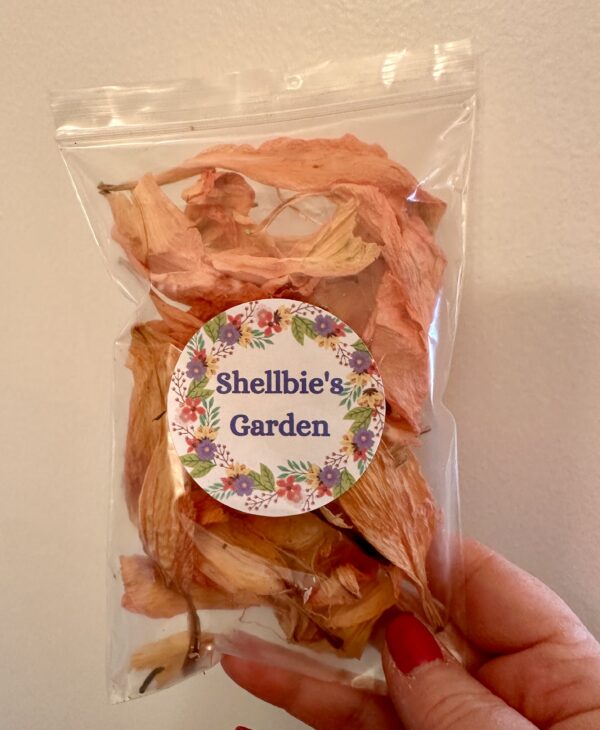 a hand holding a clear pouch of orange lily dried flower petals with a label that says shellbies garden