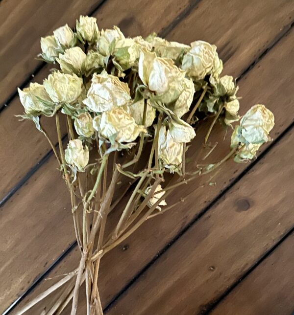 mini white dried roses on a brown table