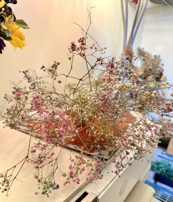 pink, blue, and white dried babys breath flower stems laying on a table