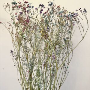 pink, blue, and white dried babys breath stems