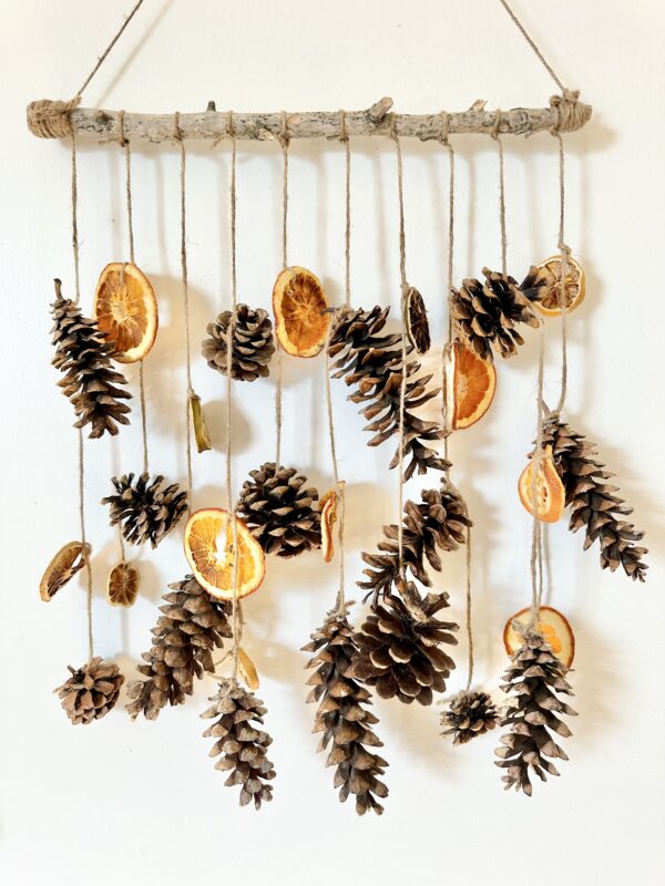 pinecones and citrus hanging on jute twine string from a wood branch