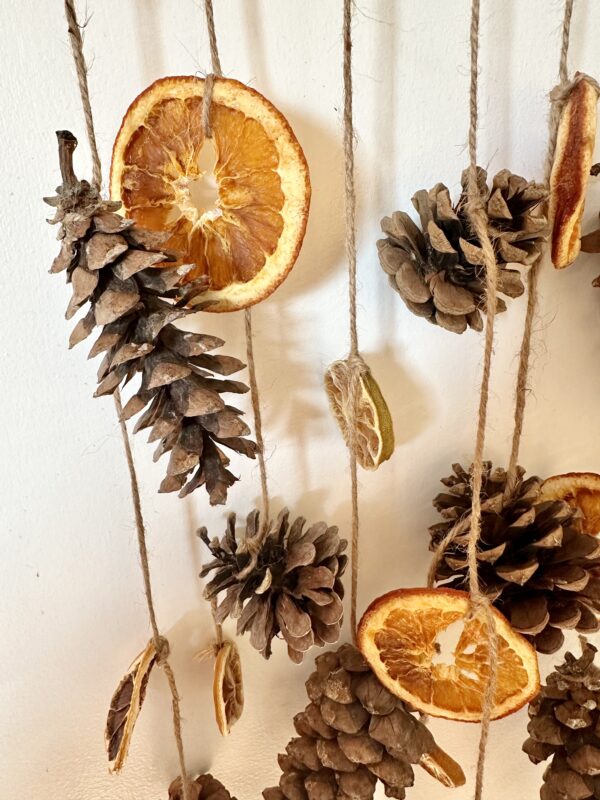 pinecones and citrus hanging on jute twine string