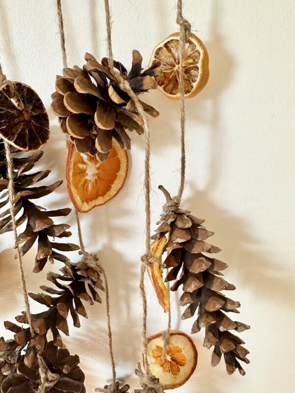 pinecones and citrus hanging on jute string