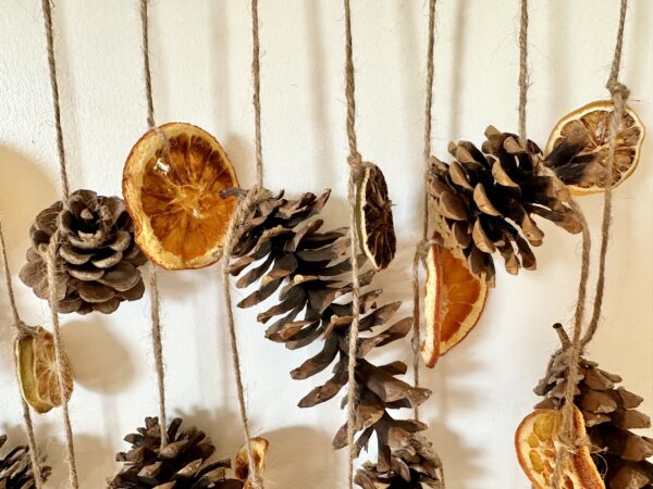 citrus and pinecones hanging on jute twine