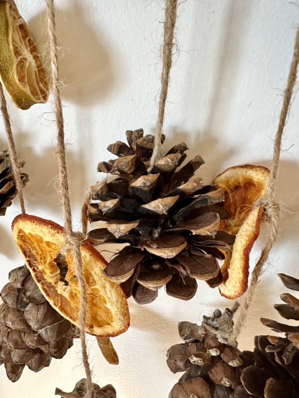 pinecones and citrus hanging on jute twine