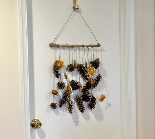 pinecones and citrus hanging on jute string from a rustic wood branch